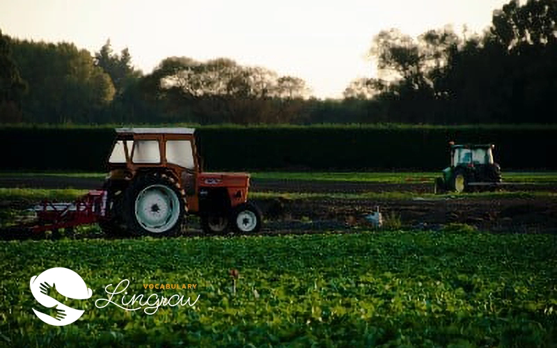 Agriculture