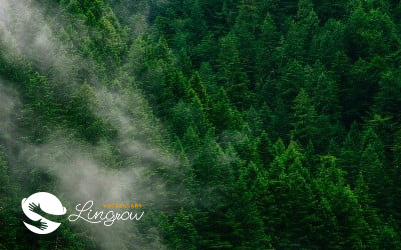 Ecology & Environment